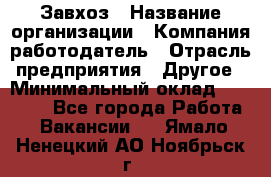 Завхоз › Название организации ­ Компания-работодатель › Отрасль предприятия ­ Другое › Минимальный оклад ­ 26 000 - Все города Работа » Вакансии   . Ямало-Ненецкий АО,Ноябрьск г.